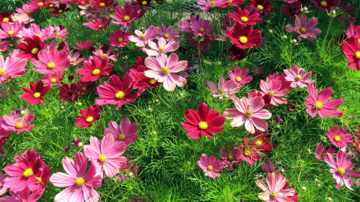 1565197 (a): :2560x1440